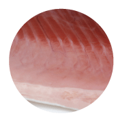 広島サーモンは朝〆だから新鮮