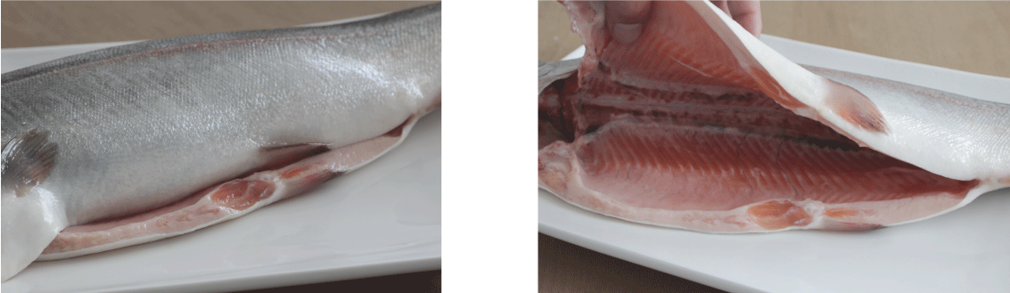 広島サーモン｜新鮮な状態でお届けします